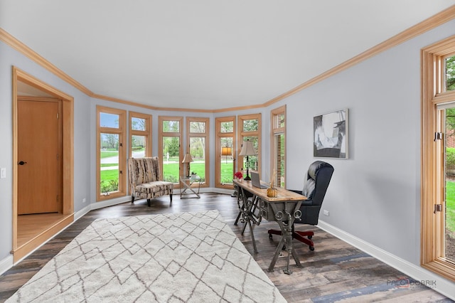 318 Camelot Ln, Libertyville, IL 60048 - sitting room featuring baseboards, ornamental molding, a desk, and dark wood finished floors
