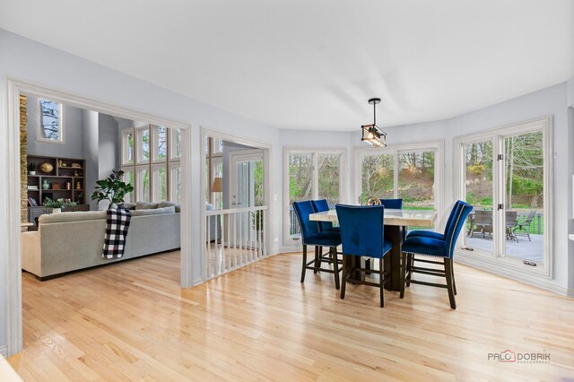 bedroom with a skylight, light colored carpet, baseboards, and a raised ceiling