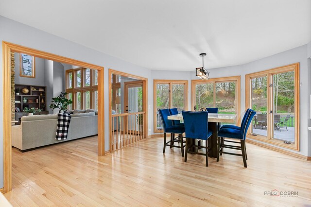 bedroom with visible vents, carpet flooring, a raised ceiling, and baseboards