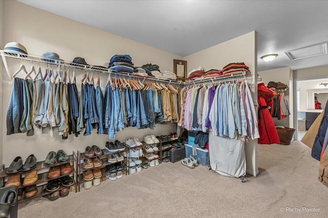 walk in closet with carpet floors and attic access