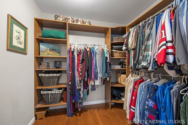 spacious closet featuring wood finished floors