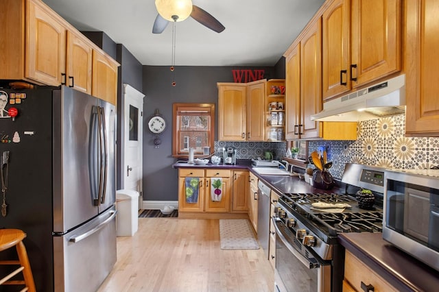 kitchen with a ceiling fan, light wood-type flooring, appliances with stainless steel finishes, under cabinet range hood, and backsplash