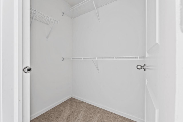 282 Willington Way, Oswego, IL 60543 - walk in closet featuring carpet flooring