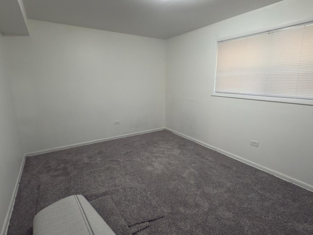 392 Luella Ave, Calumet City, IL 60409 - unfurnished room featuring carpet floors and baseboards