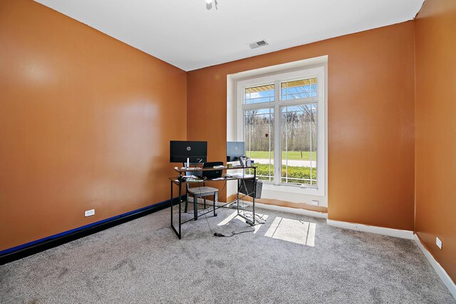 102 River Run Dr, Saint Anne, IL 60964 - photo 15