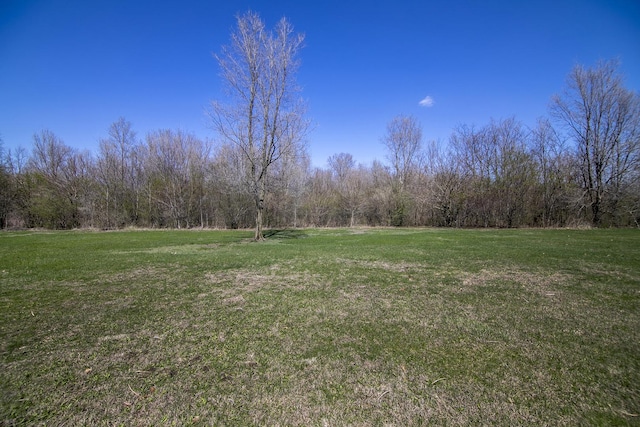 102 River Run Dr, Saint Anne, IL 60964 - photo 21