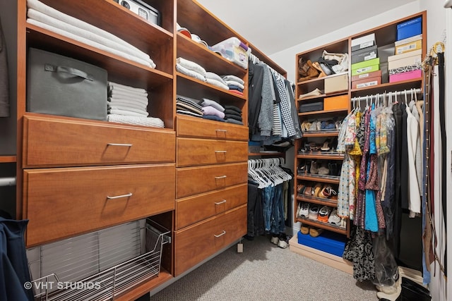 walk in closet featuring carpet floors