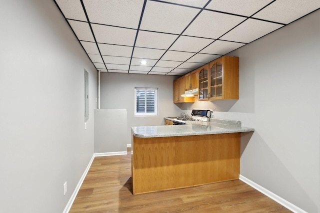 18485 W Springwood Dr, Grayslake, IL 60030 - kitchen with under cabinet range hood, gas range gas stove, light countertops, glass insert cabinets, and a drop ceiling