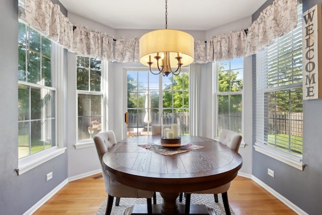 18485 W Springwood Dr, Grayslake, IL 60030 - dining area with plenty of natural light, a chandelier, and light wood finished floors