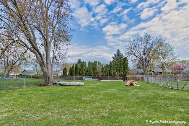 43 Lippincott Rd, Fox Lake, IL 60020 - view of yard featuring fence