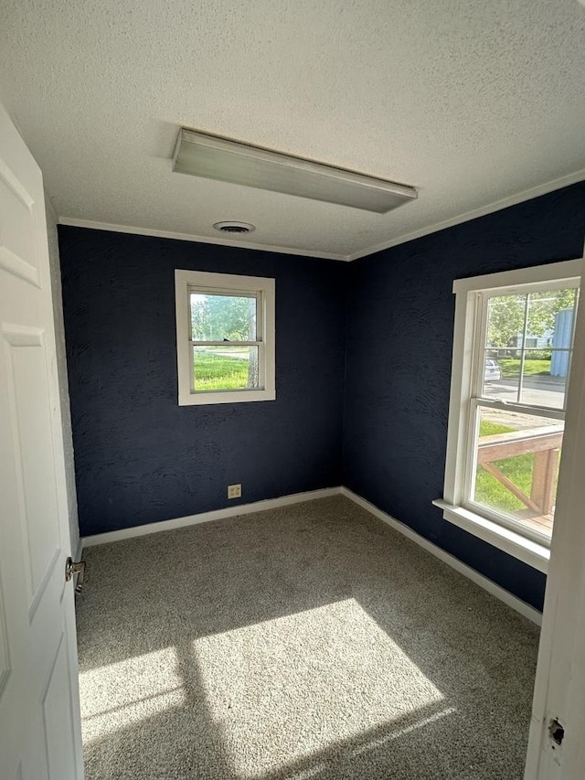 117 N Vermilion St, Potomac, IL 61865 - carpeted spare room with a textured ceiling, healthy amount of natural light, baseboards, and crown molding