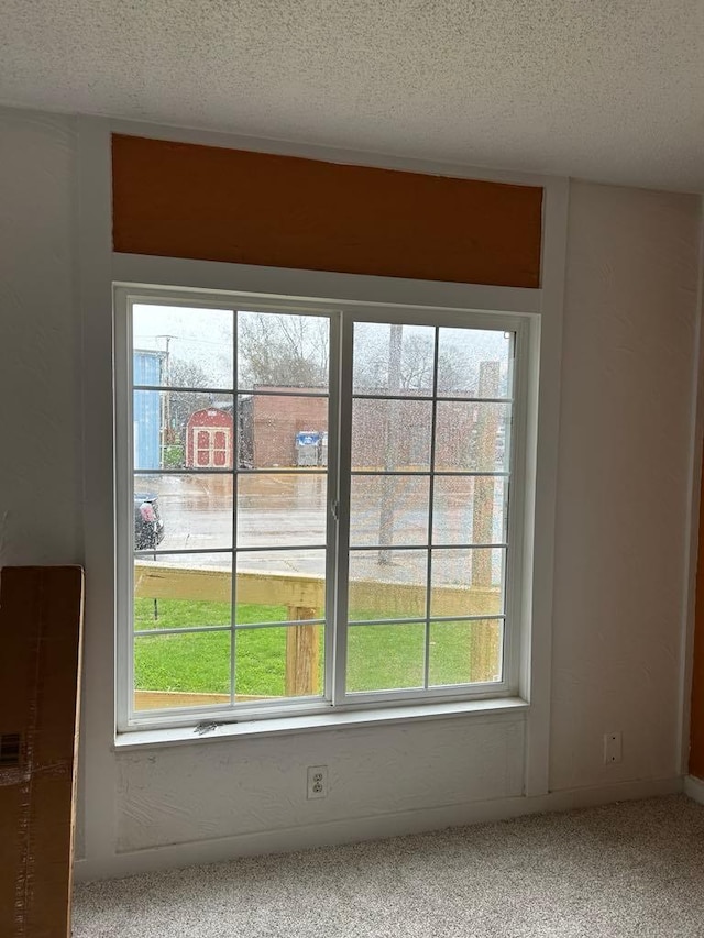 117 N Vermilion St, Potomac, IL 61865 - detailed view of a textured ceiling and carpet