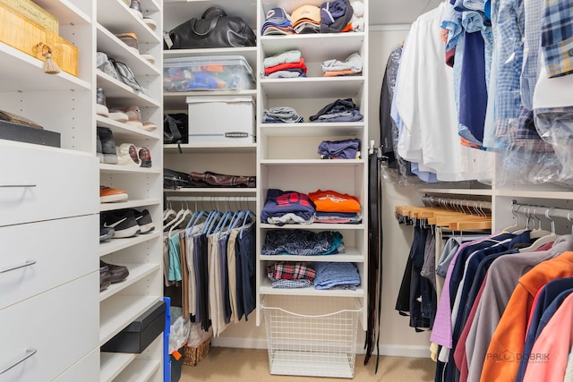 walk in closet featuring carpet flooring