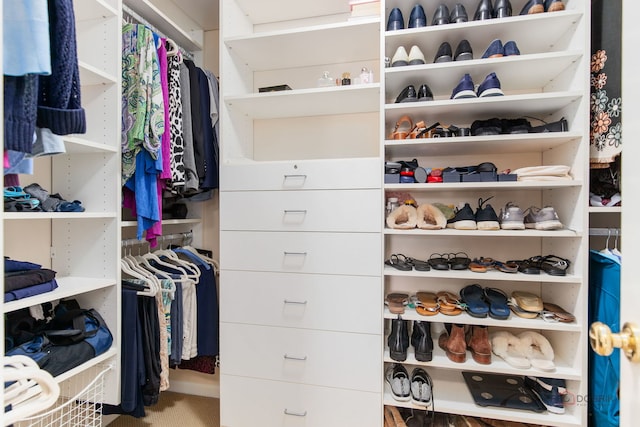 view of walk in closet