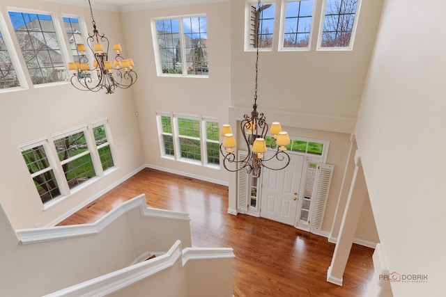 entryway with a chandelier, wood finished floors, and a high ceiling