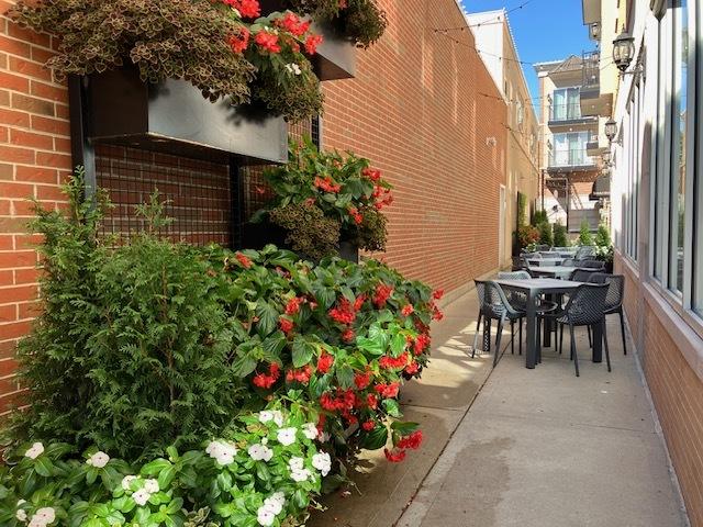 view of patio / terrace featuring outdoor dining space