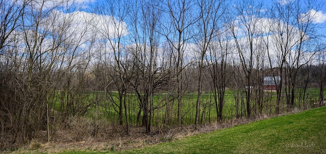 view of landscape featuring a view of trees
