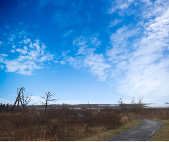 LOT17 Harding Ave, Richmond, IL 60071 - photo 4