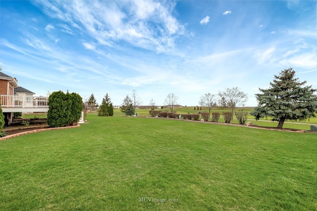 view of yard