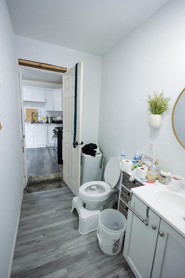 732 N Dearborn Ave, Kankakee, IL 60901 - bathroom with vanity and wood finished floors