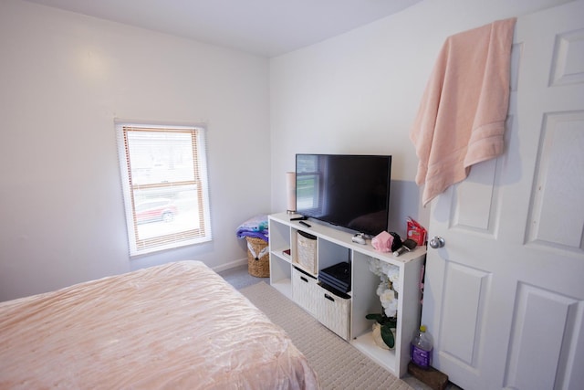 732 N Dearborn Ave, Kankakee, IL 60901 - view of carpeted bedroom