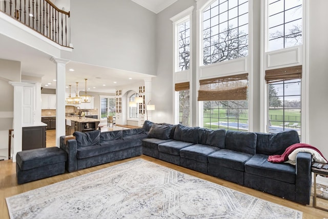 41W050 Stoneridge Ln, Elgin, IL 60124 - living room with a towering ceiling, light wood-style flooring, and decorative columns