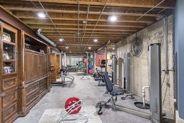 41W050 Stoneridge Ln, Elgin, IL 60124 - view of exercise room