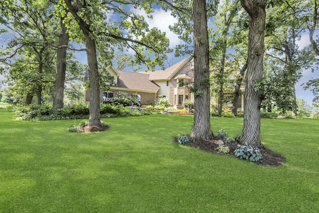 41W050 Stoneridge Ln, Elgin, IL 60124 - view of yard