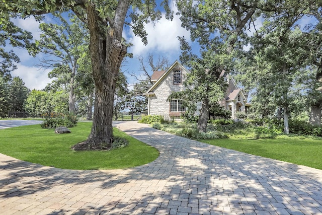 41W050 Stoneridge Ln, Elgin, IL 60124 - surrounding community featuring a yard