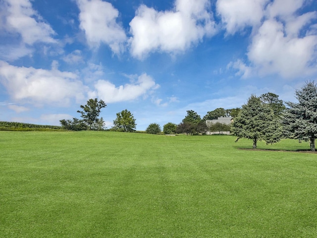 41W050 Stoneridge Ln, Elgin, IL 60124 - view of yard with a rural view