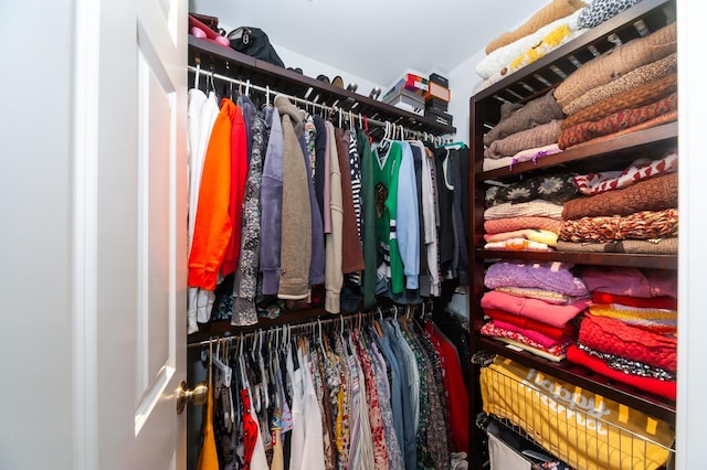 716 Samson Way, Northbrook, IL 60062 - view of spacious closet