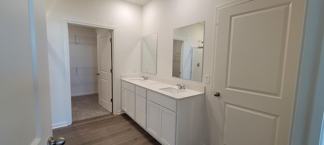 6457 Juniper Dr, Wonder Lake, IL 60097 - full bathroom with a spacious closet and a sink