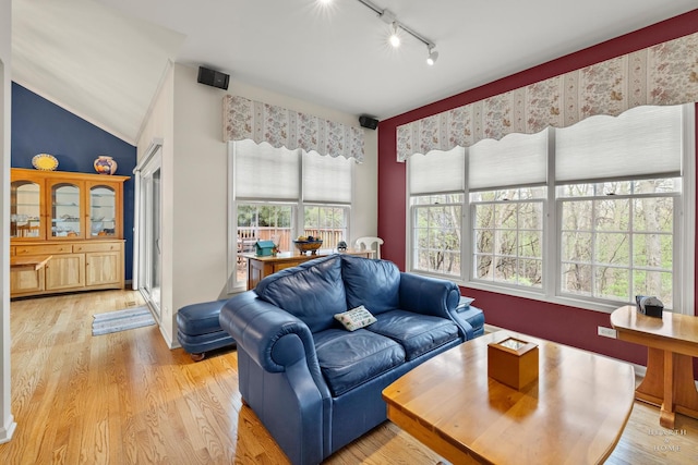 803 Pleasant Dr, Fox River Grove, IL 60021 - living area with rail lighting, light wood-style floors, and lofted ceiling