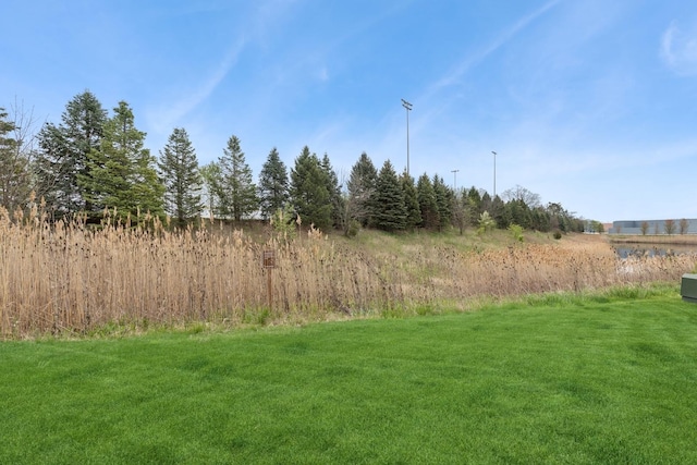 2830 Kessler Dr, Mundelein, IL 60060 - view of green lawn