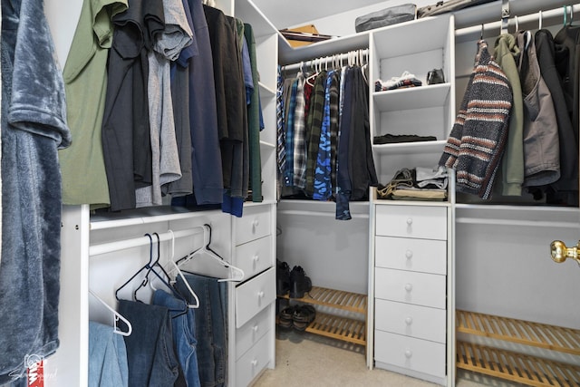 spacious closet featuring carpet flooring