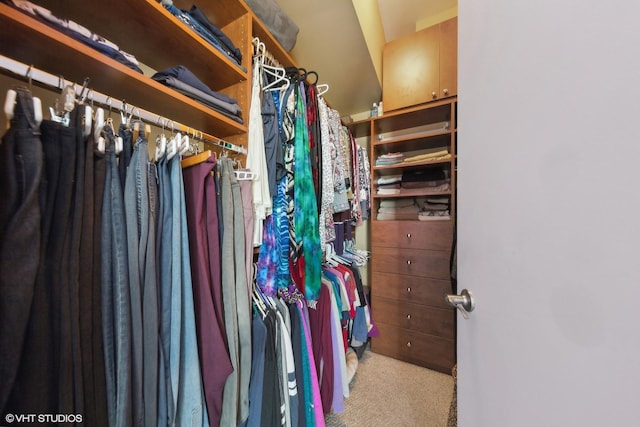 walk in closet with carpet floors