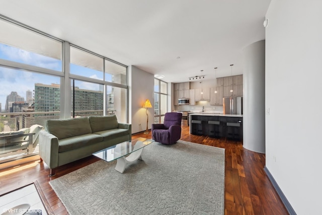living area featuring dark wood-type flooring, a city view, and baseboards