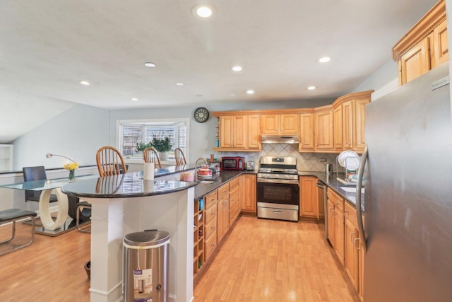 kitchen featuring light wood-style floors, a peninsula, under cabinet range hood, stainless steel appliances, and backsplash