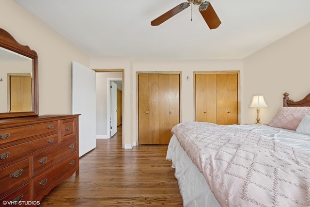 1112 N Perry Dr, Palatine, IL 60067 - bedroom featuring wood finished floors, multiple closets, and ceiling fan