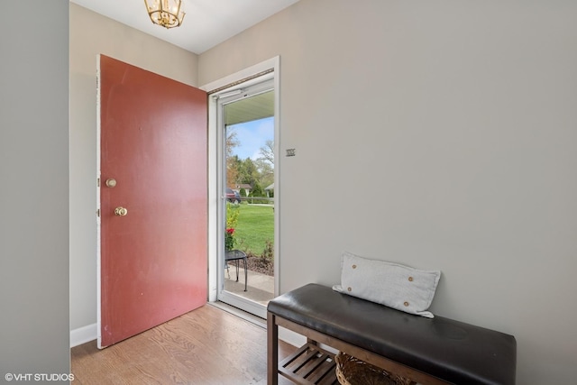 1112 N Perry Dr, Palatine, IL 60067 - foyer with light wood-style flooring