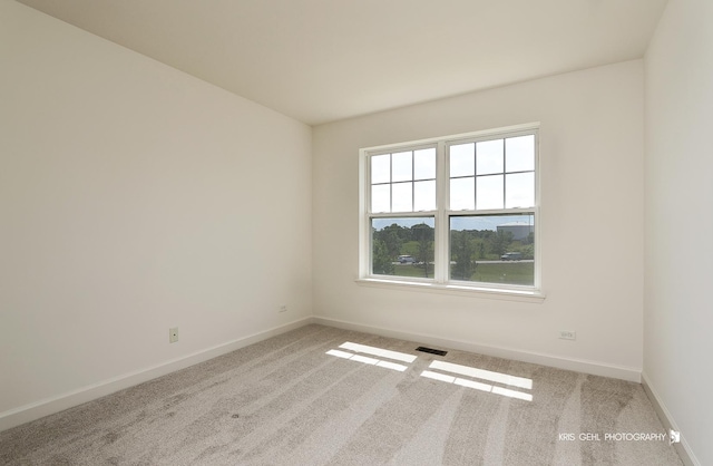 2850 Cattail Ct Unit C, Wauconda, IL 60084 - carpeted empty room featuring baseboards