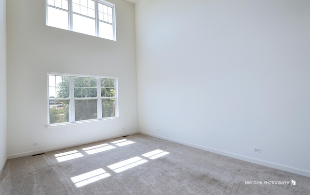 2850 Cattail Ct Unit C, Wauconda, IL 60084 - unfurnished room with healthy amount of natural light and carpet