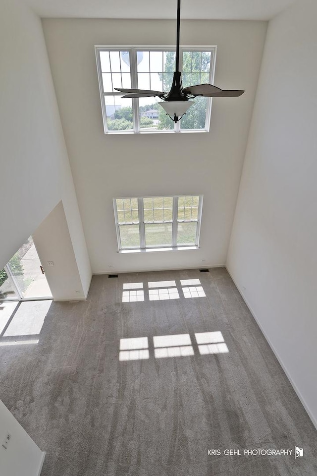 2850 Cattail Ct Unit C, Wauconda, IL 60084 - unfurnished living room with carpet flooring and a towering ceiling
