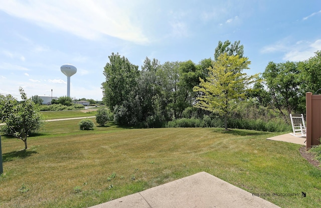 2850 Cattail Ct Unit C, Wauconda, IL 60084 - view of green lawn featuring a patio