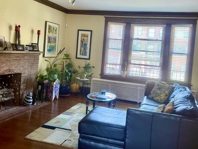living area with plenty of natural light, wood finished floors, radiator, and a fireplace