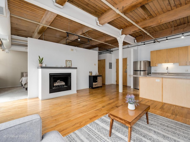 living area featuring light wood-style floors, wooden ceiling, and track lighting