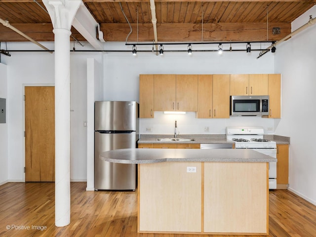 kitchen with a center island, a sink, appliances with stainless steel finishes, light wood finished floors, and rail lighting