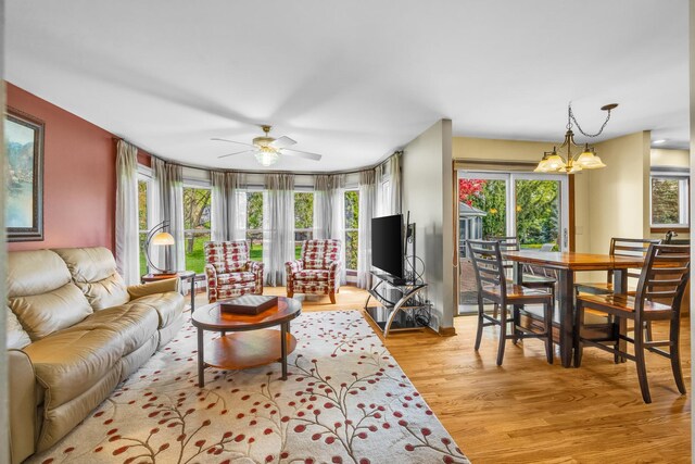 living room with a chandelier, plenty of natural light, a ceiling fan, and light wood-style flooring