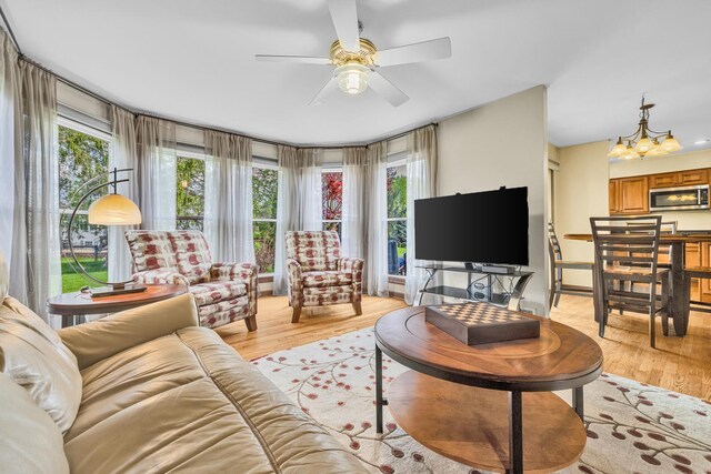 living area featuring plenty of natural light, ceiling fan, and light wood finished floors