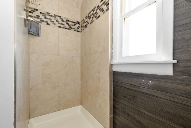 2644 Commercial Ave, South Chicago Heights, IL 60411 - bathroom with a wealth of natural light and tiled shower
